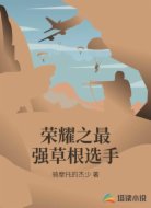 荣耀之最强草根选手