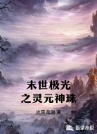 末世极光之灵元神珠