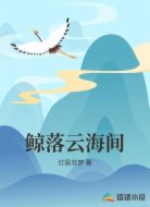 鲸落云海间