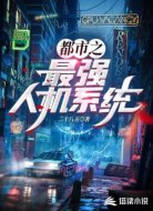 都市之最强人机系统