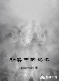 朴实中的记忆
