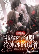 闪婚后我靠玄学征服冷冰冰的璟爷