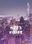 两翼齐飞的足球梦