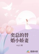 奕总的替婚小娇妻