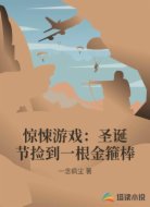 惊悚游戏:圣诞节捡到一根金箍棒