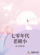 七零年代老破小