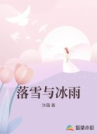 落雪与冰雨
