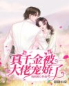 书名
