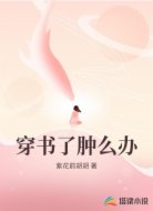 穿书了肿么办