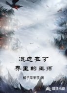 混迹在万界里的巫师
