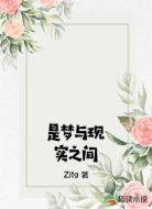 是梦与现实之间