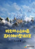 转生林小白和最高阶神的整活日常