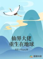仙界大佬重生在地球