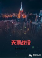 天顶战役