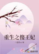 重生之傻王妃