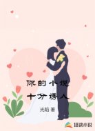 你的小说十分诱人