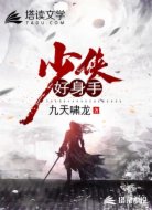 少侠：好身手