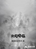 次元降临
