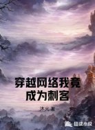 穿越网络我竟成为刺客