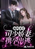 偏执宠爱:司少娇妻携孕出逃