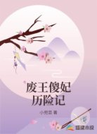废王傻妃历险记