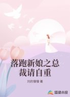 落跑新娘之总裁请自重