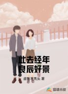 此去经年良辰好景