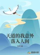天道的我意外落入人间