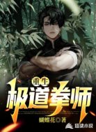 重生:极道拳师