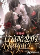 新婚夜:首富暗恋的小撩精重生了