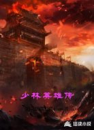 少林英雄传