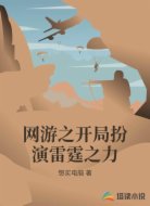 网游之开局扮演雷霆之力