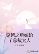 穿越之后嫁给了总裁大人