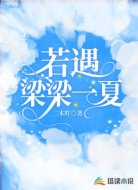 若遇梁梁一夏