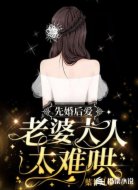 先婚后爱:老婆大人太难哄