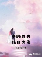 夕阳已去皓月方来