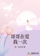 哥哥在爱我一次