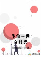 予你一两白月光