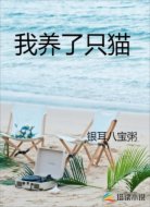 我养了只猫