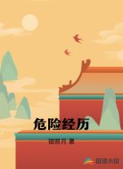 危险经历