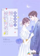 被奶狗弟弟缠上后,她被宠翻了