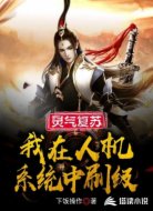 灵气复苏:我在人机系统中刷级