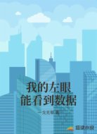 我的左眼能看到数据