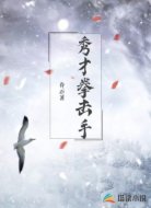 秀才拳击手
