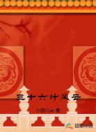 三十六计风云