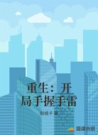 重生：开局手握手雷