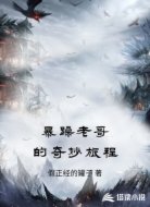 暴躁老哥的奇妙旅程