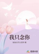 我只念你