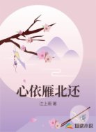 心依雁北还