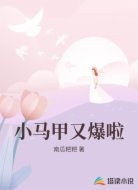 小马甲又爆啦